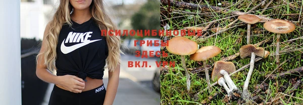 хмурый Баксан