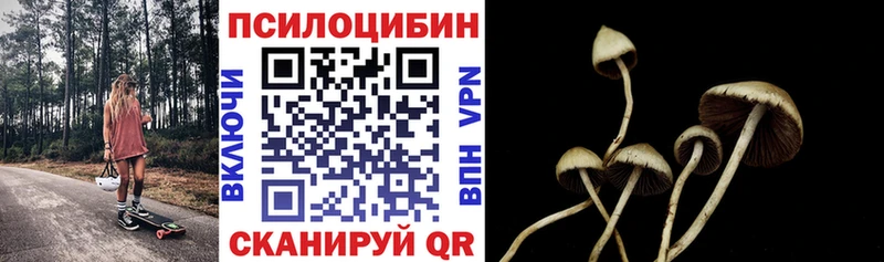 mega зеркало  Сегежа  Псилоцибиновые грибы Magic Shrooms  даркнет сайт 