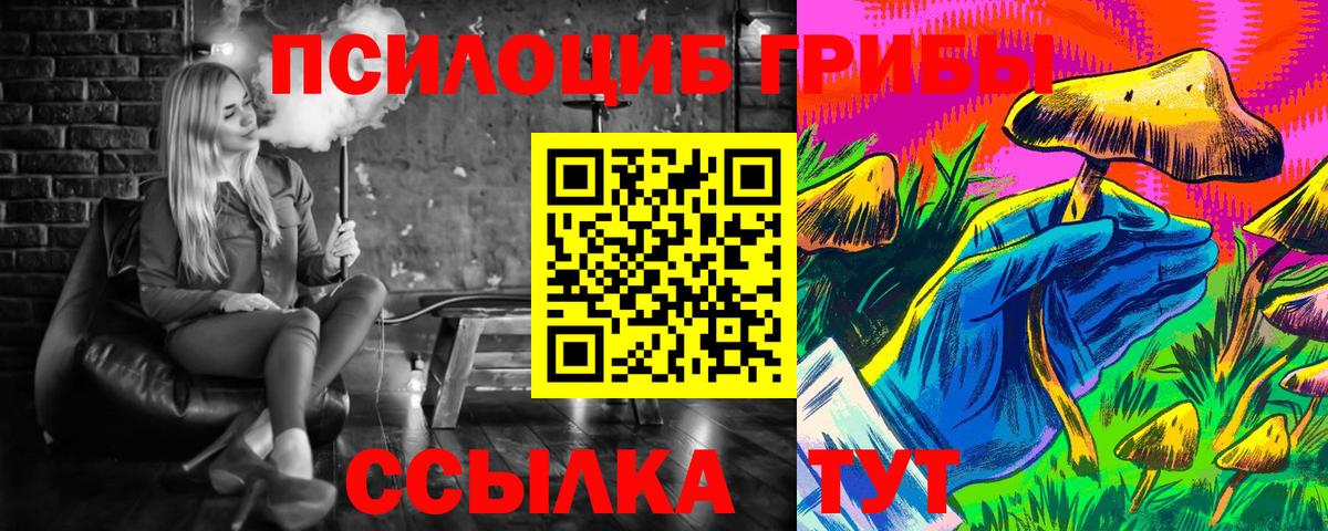 Галлюциногенные грибы Cubensis Сегежа