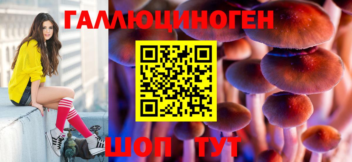 Галлюциногенные грибы мухоморы  Псилоцибиновые грибы мицелий  Вход с VPN  Сегежа 